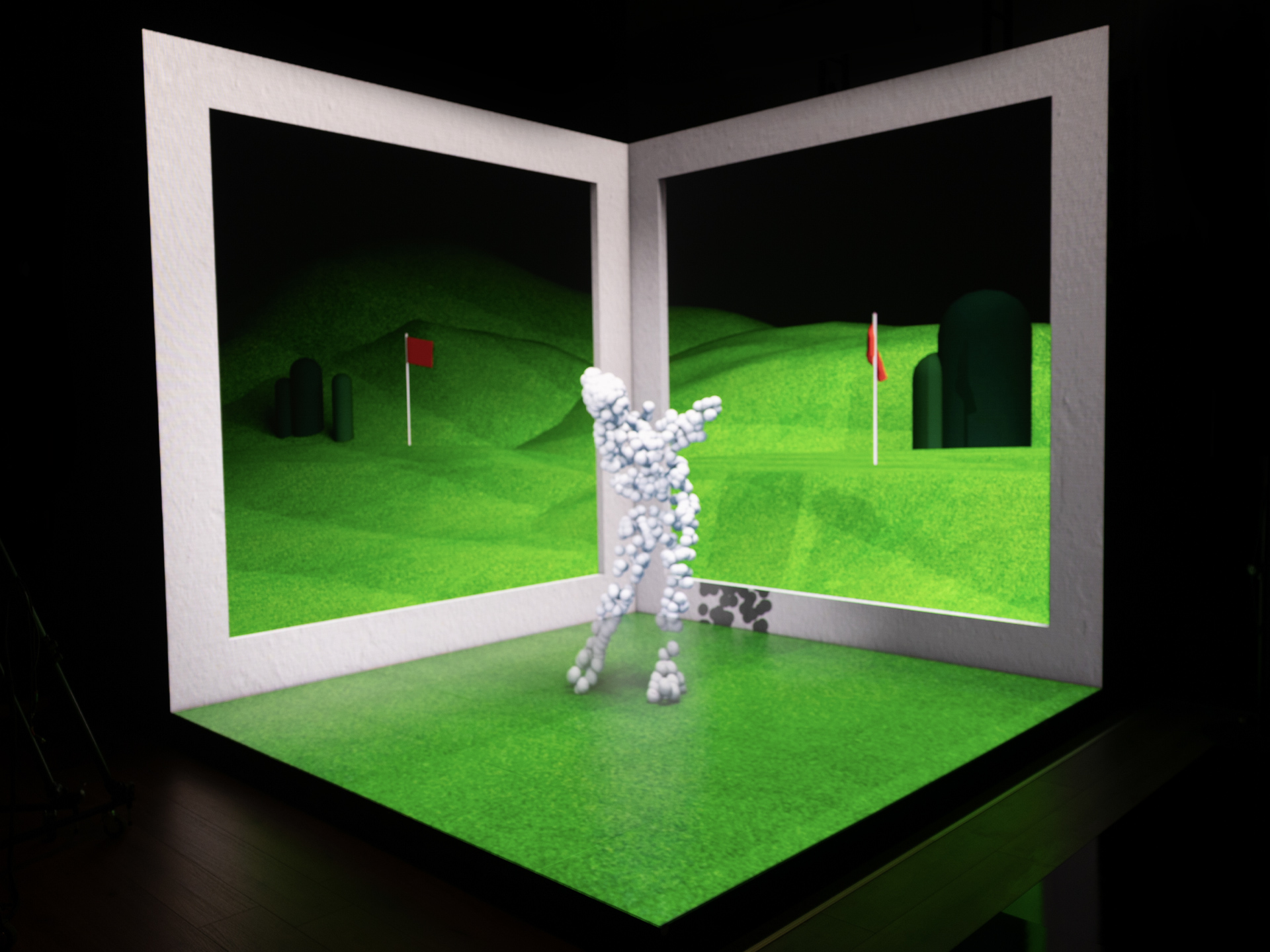 Naked Eye 3D