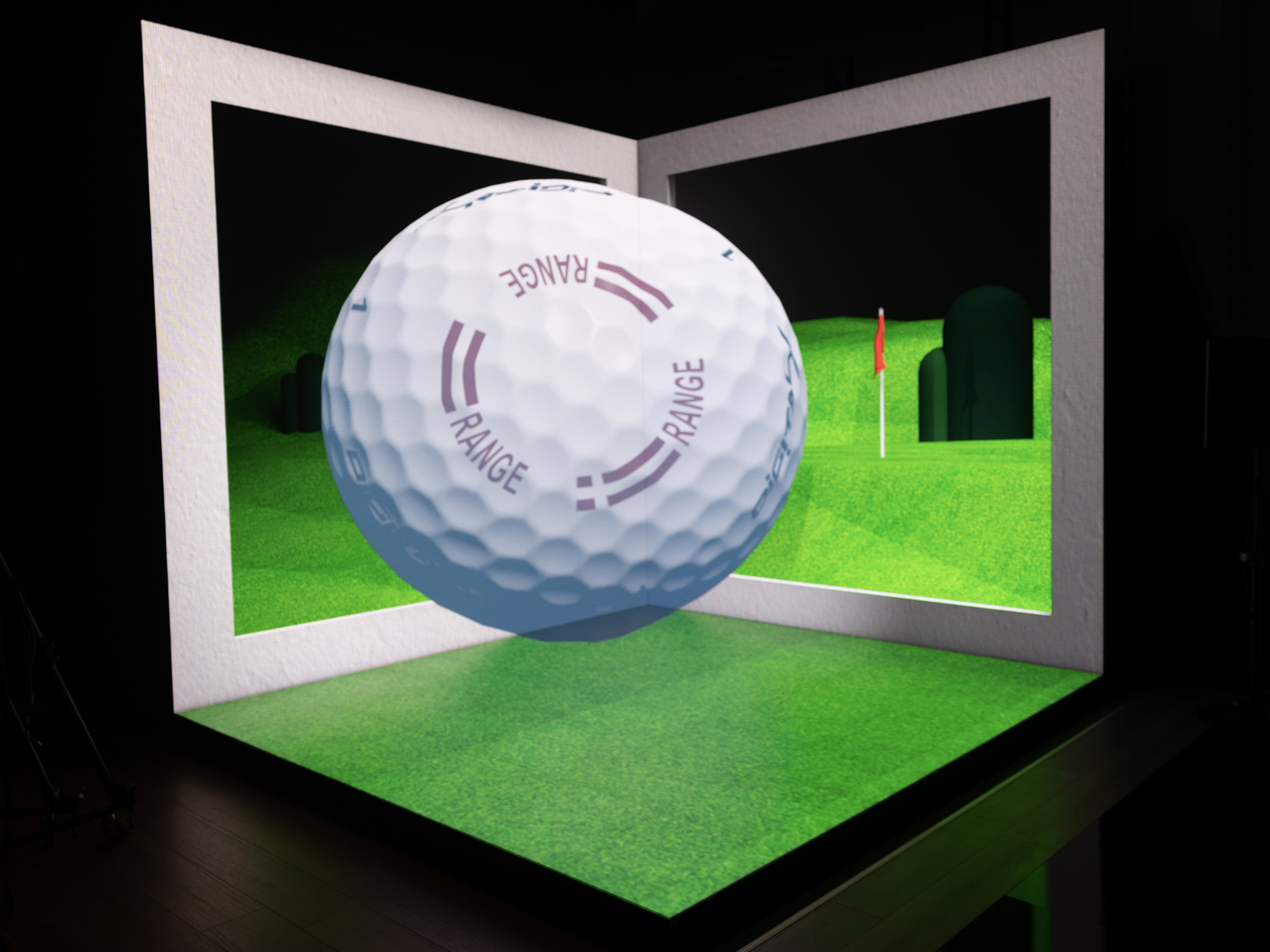 Naked Eye 3D