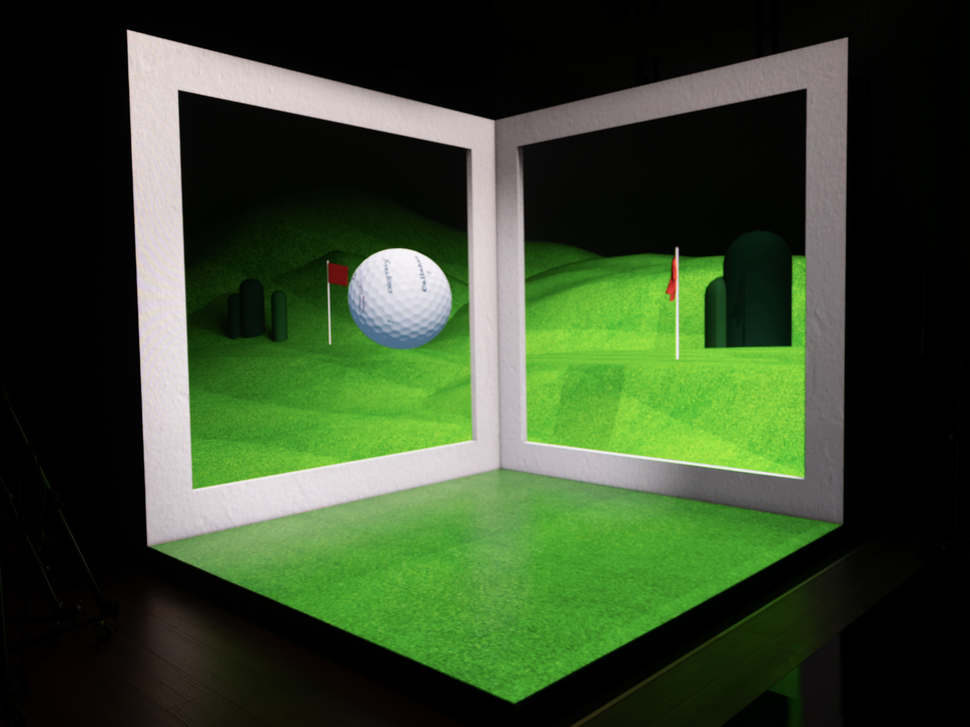 Naked Eye 3D